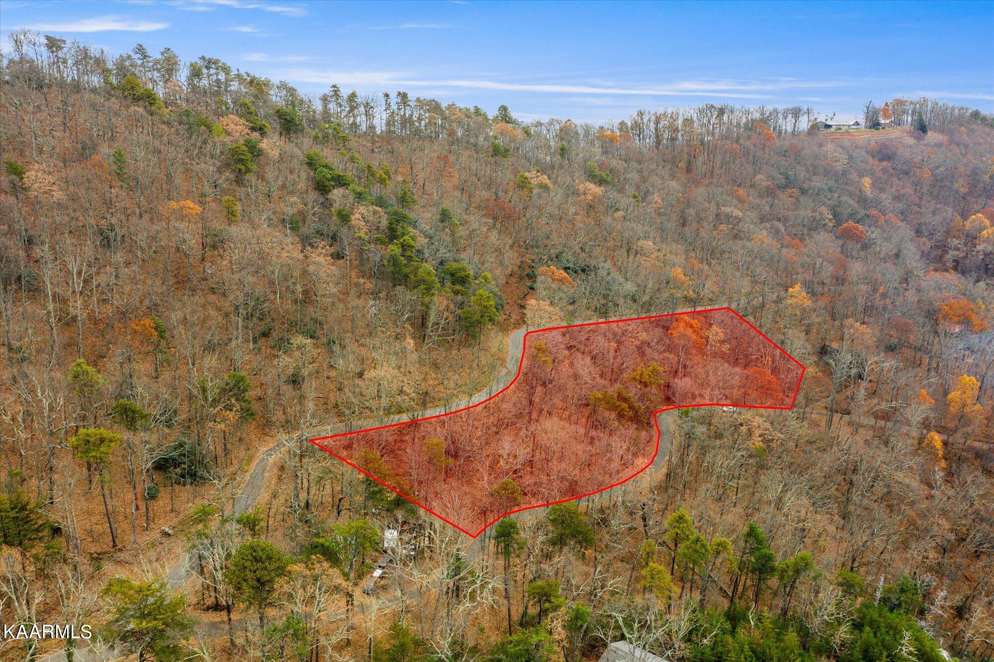 Duncan Spring Road Seymour, TN 37865 - Photo 4 of 25 03-Duncan-Springs-Rd-3
