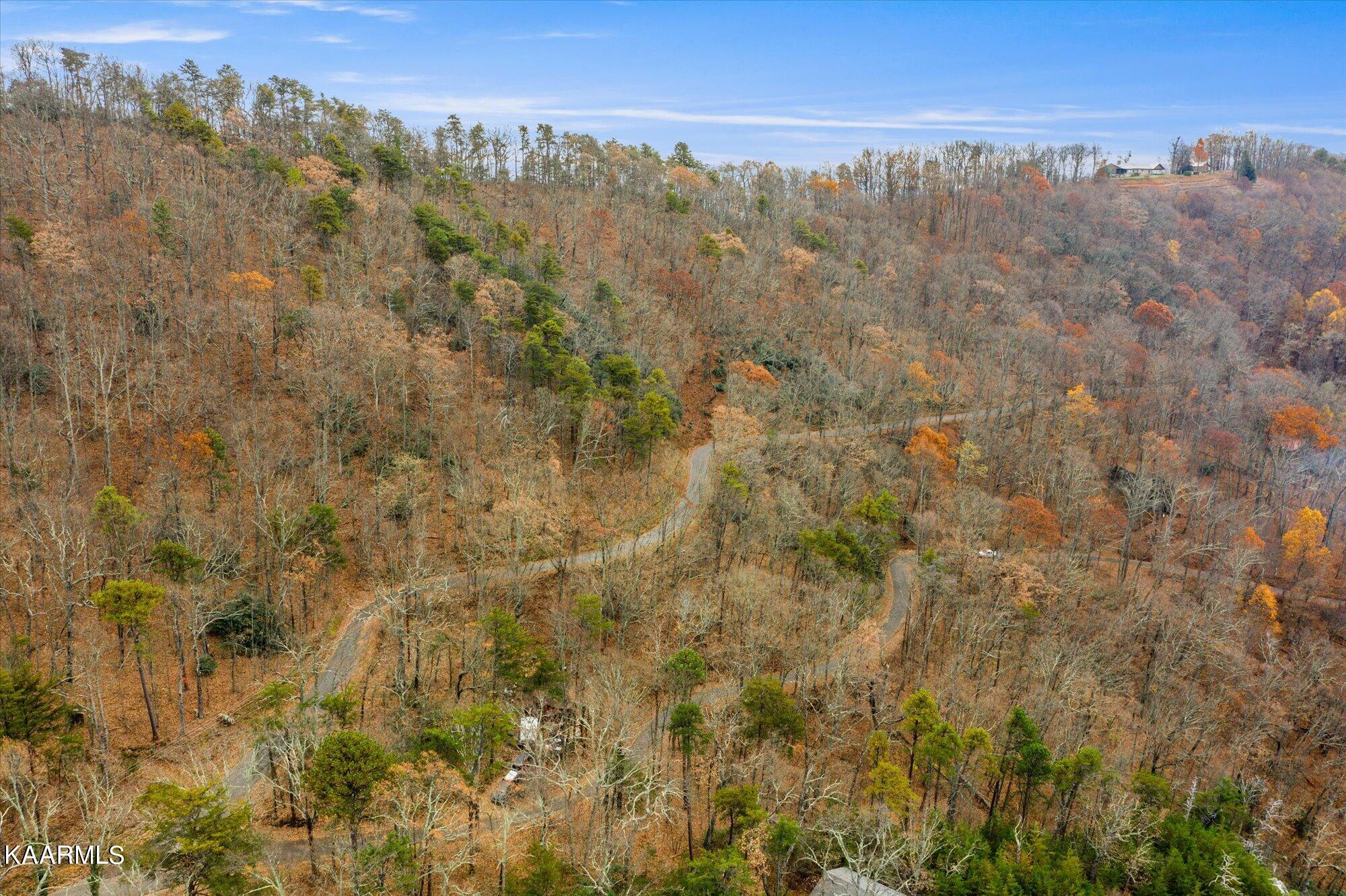 Duncan Spring Road Seymour, TN 37865 - Photo 5 of 25 04-Duncan-Springs-Rd-4