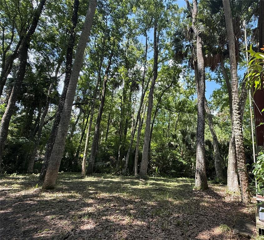 23946 Indigo Road Astor, FL 32102 - Photo 17 of 20