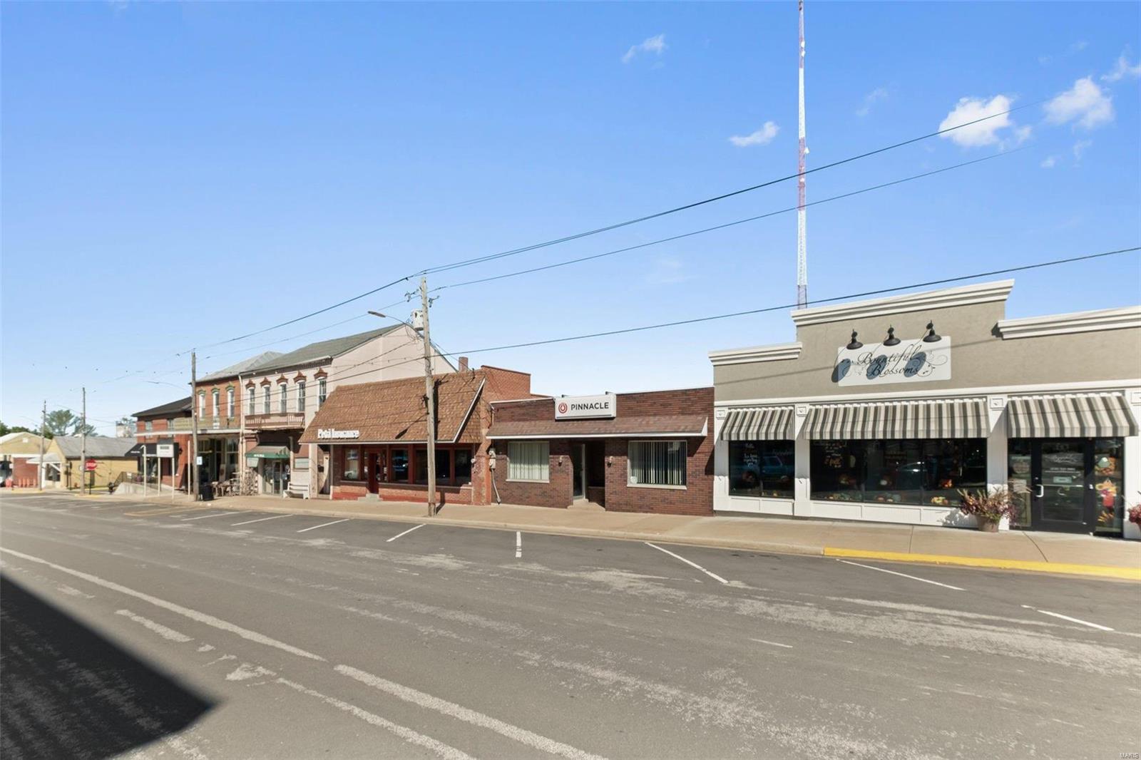 312 West 4th Street Waterloo, IL 62298 - Photo 48 of 49