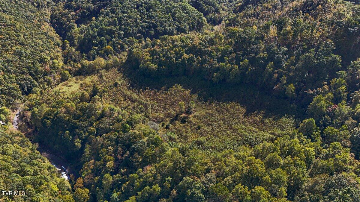 4493 Livingston Creek Road Bristol, VA 24202 - Photo 12 of 13 12-DJI_20241008124159_0576_D-HDR