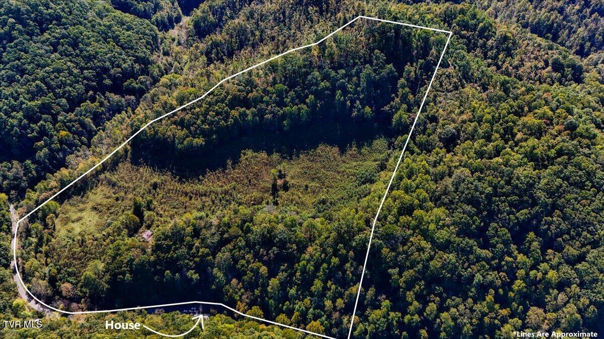 4493 Livingston Creek Road Bristol, VA 24202 - Photo 4 of 13 04-DJI_20241008123403_0549_D-HDR