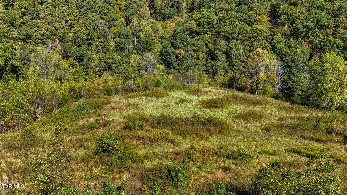 4493 Livingston Creek Road Bristol, VA 24202 - Photo 9 of 13 09-DJI_20241008124026_0567_D-HDR