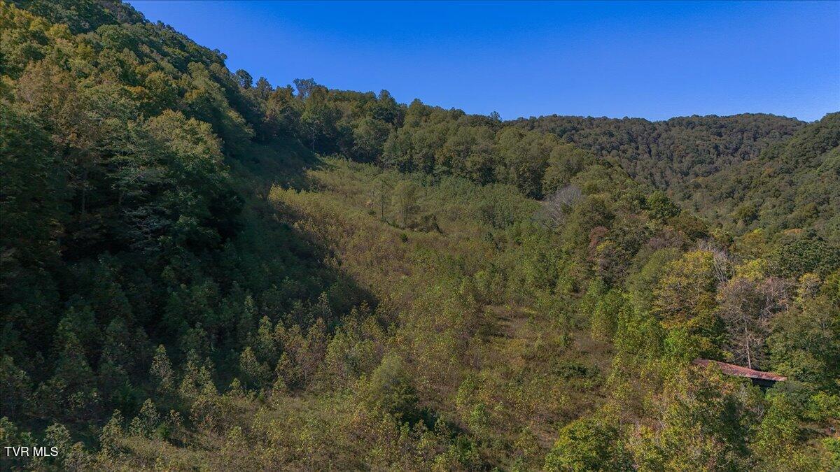 4493 Livingston Creek Road Bristol, VA 24202 - Photo 10 of 13 10-DJI_20241008124039_0570_D-HDR