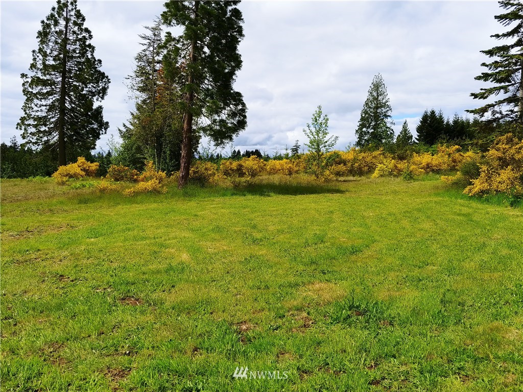 185 Stamper Road Elma, WA 98541 - Photo 1 of 9 Gallery Image 1
