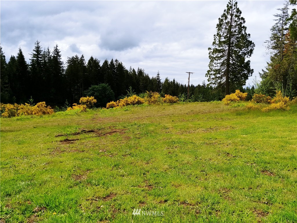 185 Stamper Road Elma, WA 98541 - Photo 2 of 9 Gallery Image 2