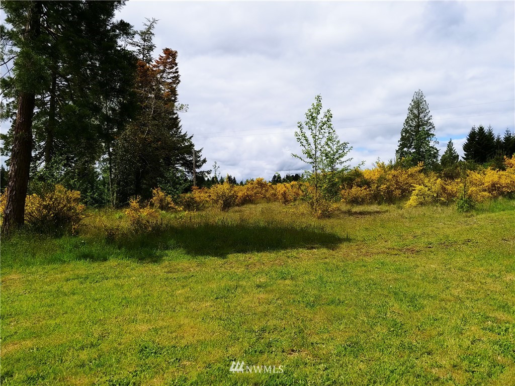 185 Stamper Road Elma, WA 98541 - Photo 4 of 9 Gallery Image 4