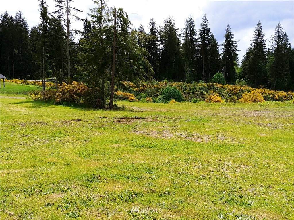 185 Stamper Road Elma, WA 98541 - Photo 7 of 9 Gallery Image 7