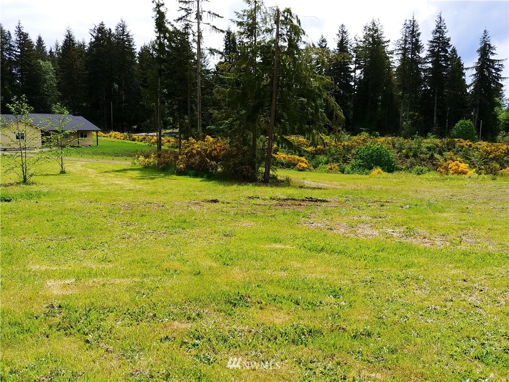 185 Stamper Road Elma, WA 98541 - Photo 8 of 9 Gallery Image 8