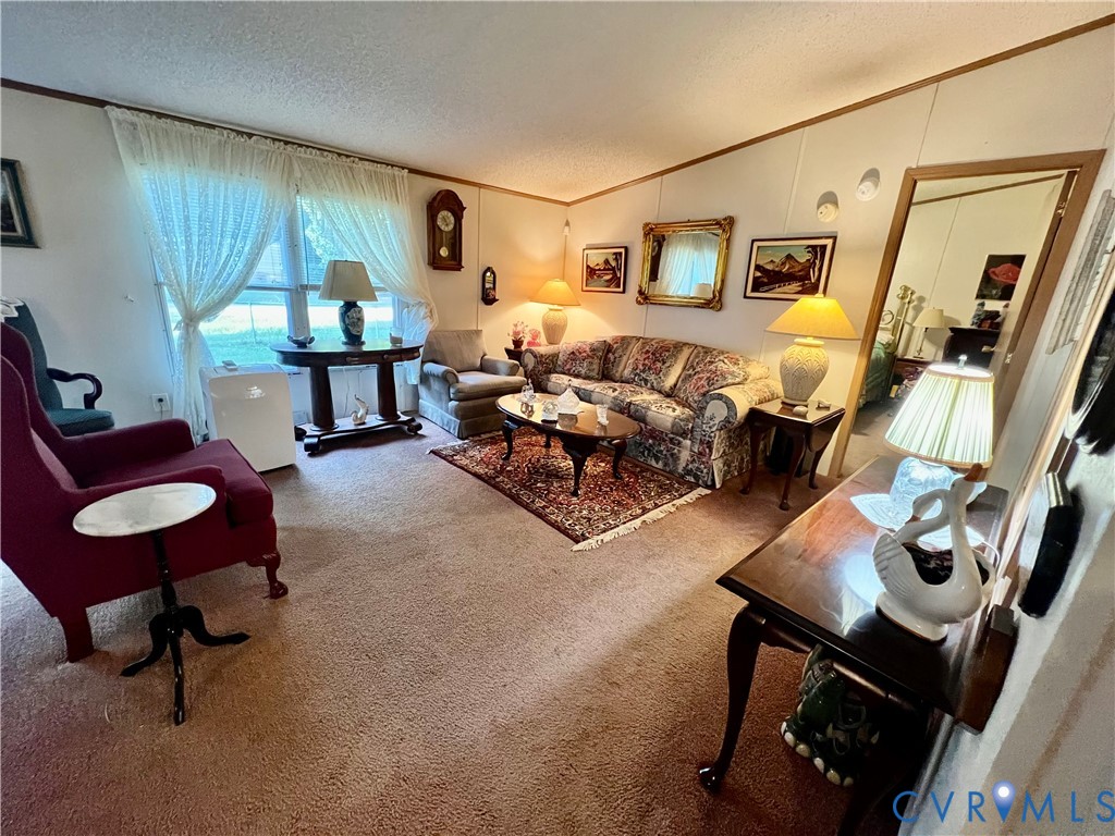 238 Samford Street Alberta, VA 23821 - Photo 3 of 10 Living room with ornamental molding, carpet, a tex