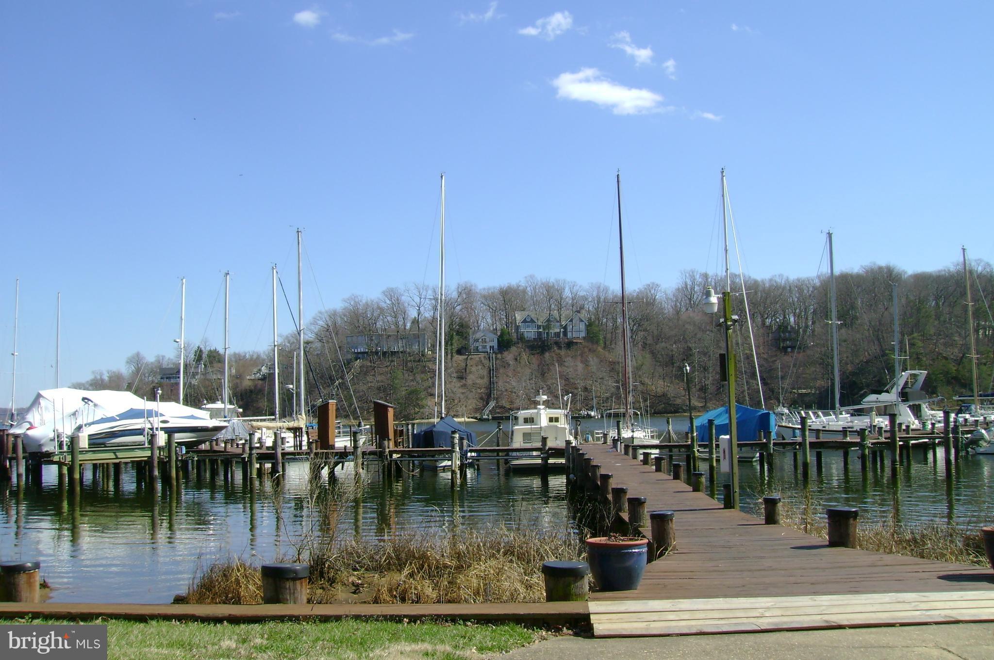 1688 Coventry Place Annapolis, MD 21401 - Photo 15 of 30 a view of water covered with trees