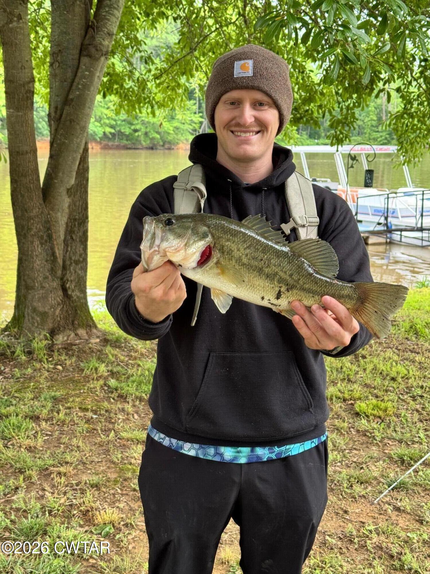 267 Dd Cove Decaturville, TN 38329 - Photo 33 of 60 a view of a yard with furniture