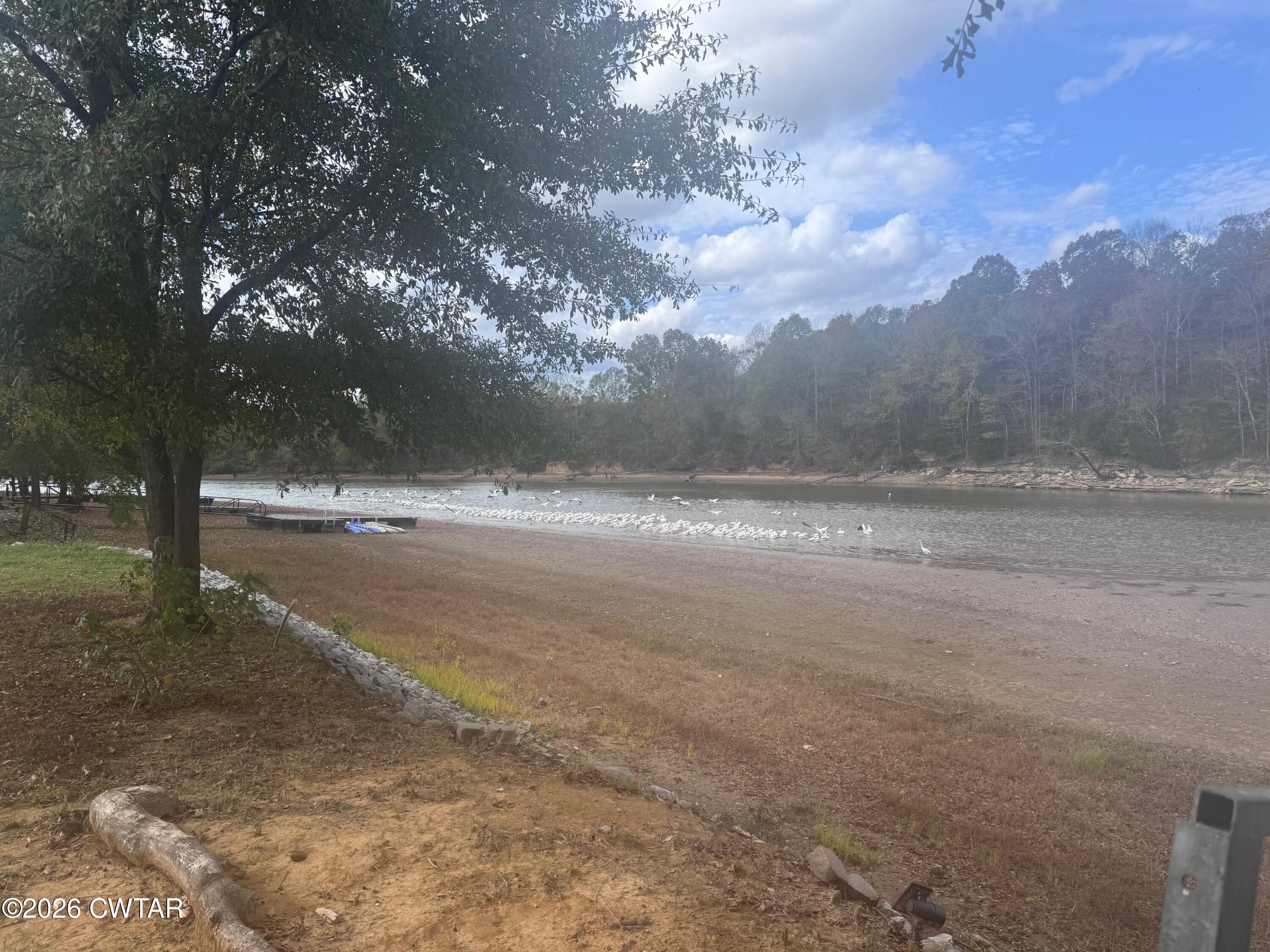 267 Dd Cove Decaturville, TN 38329 - Photo 36 of 60 a view of dirt yard with a large tree