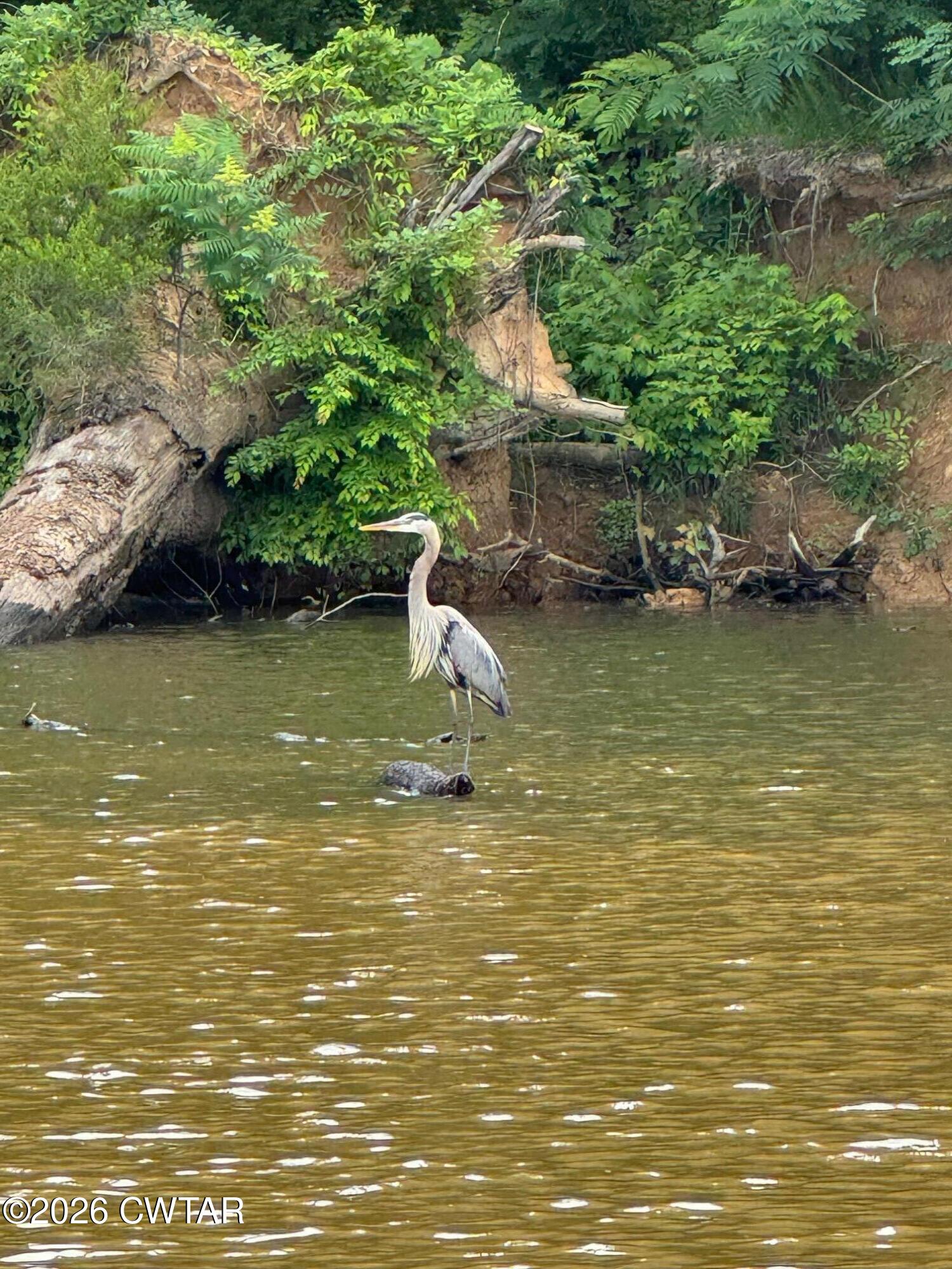 267 Dd Cove Decaturville, TN 38329 - Photo 46 of 60 a view of a ocean view