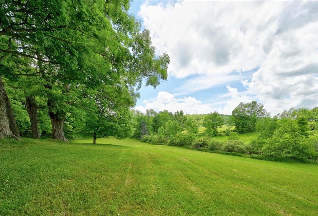 422 Lutheranville Road Worcester, NY 12064 - Photo 43 of 50