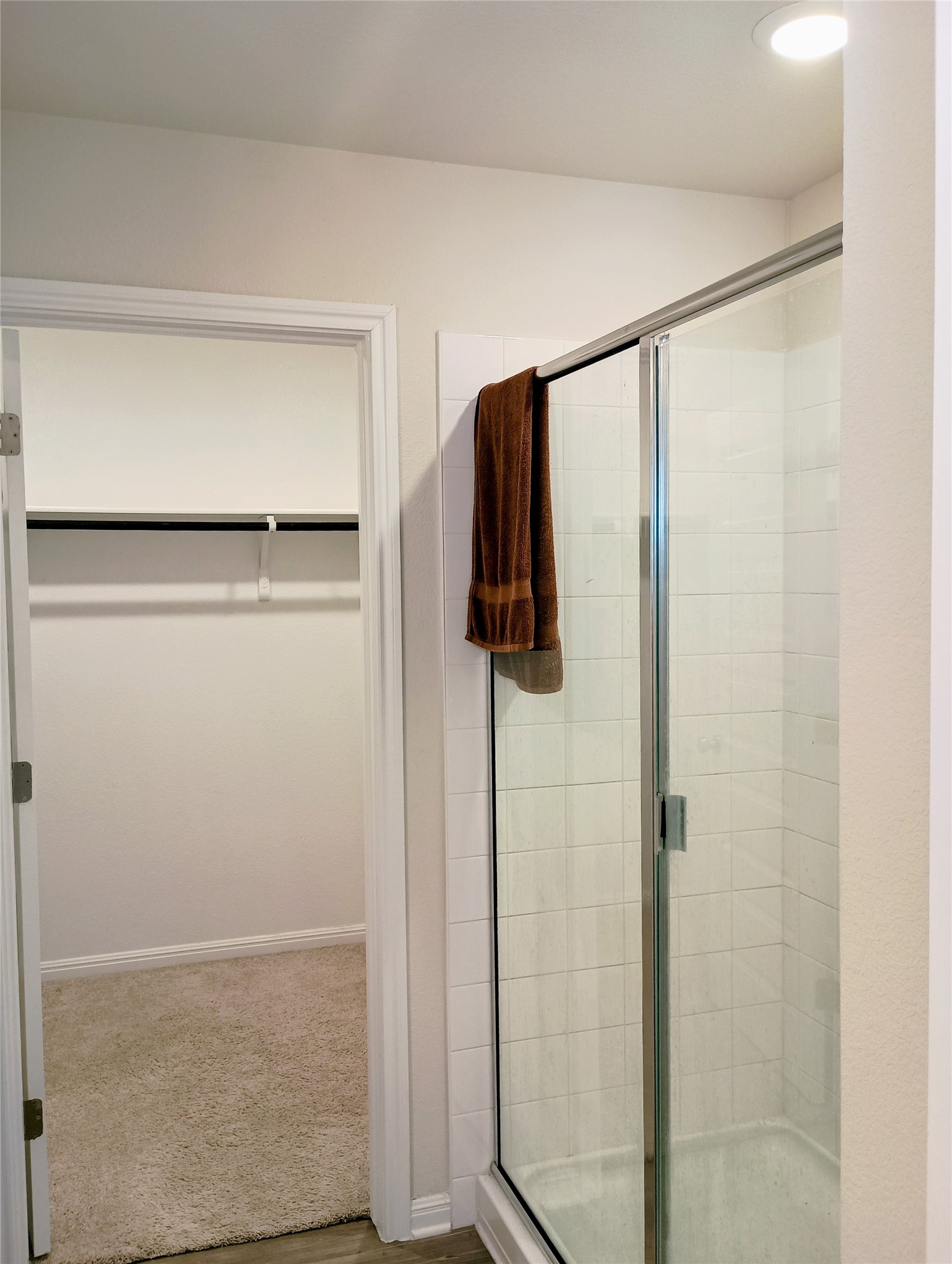 10615 Ridan Way Buda, TX 78610 - Photo 13 of 21 Full bath with a walk in closet, a shower stall, and light carpet