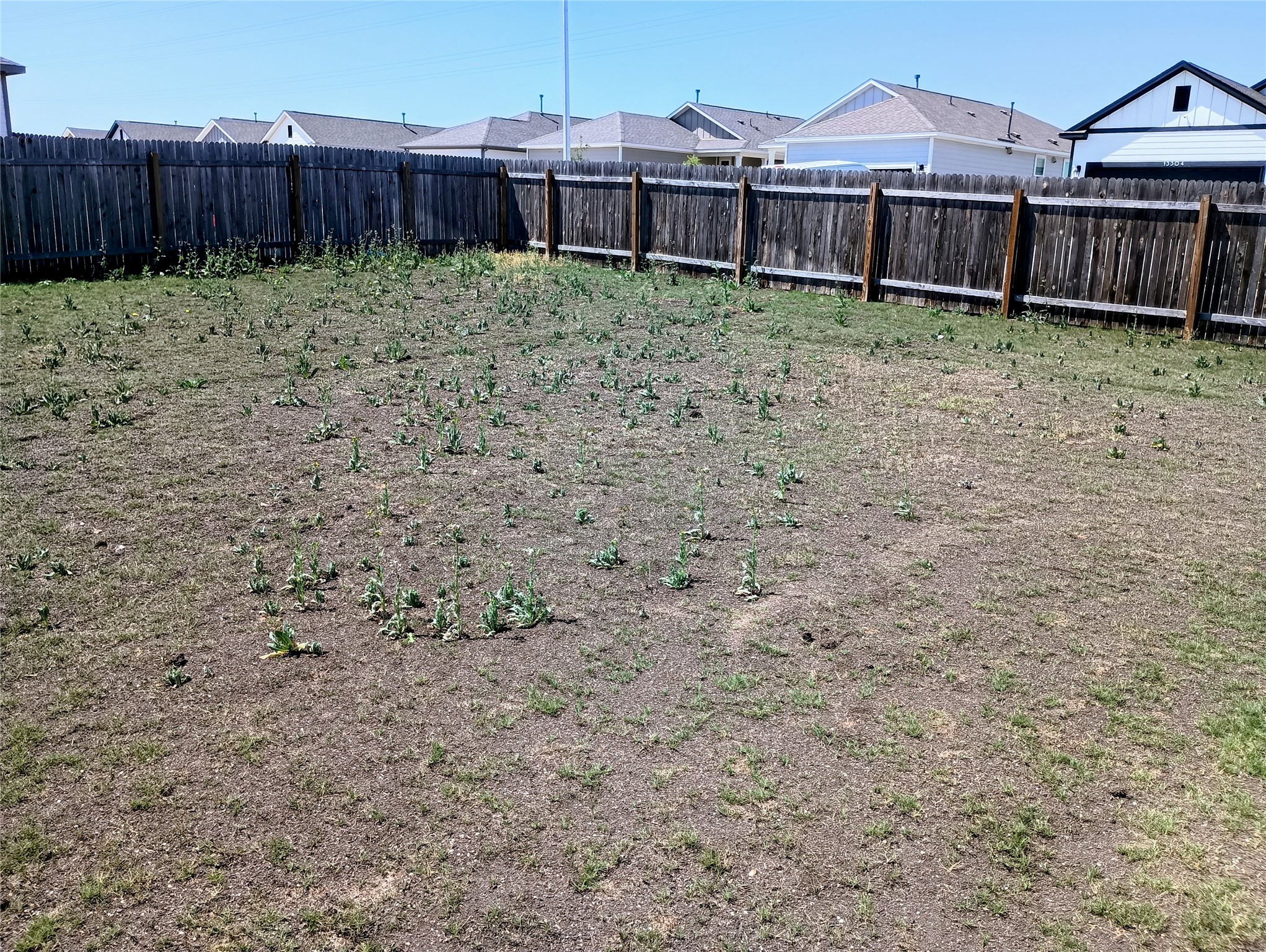10615 Ridan Way Buda, TX 78610 - Photo 19 of 21 Fenced backyard with a residential view