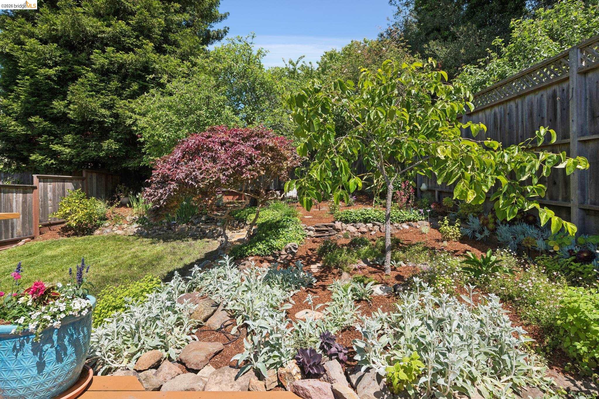 801 Keeler Avenue Berkeley, CA 94708 - Photo 54 of 63