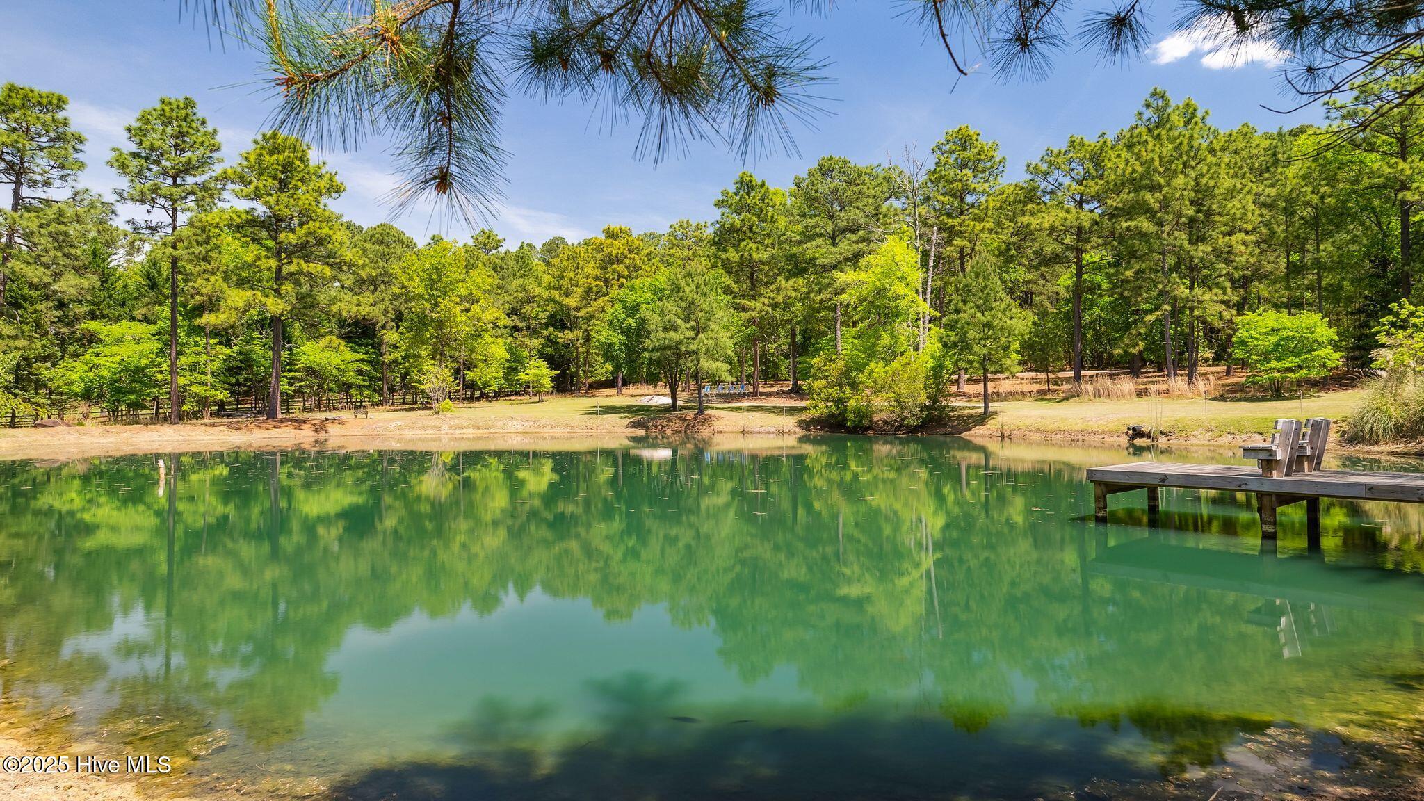 1336 McCaskill Road Carthage, NC 28327 - Photo 67 of 88 2/3 acre stocked pond