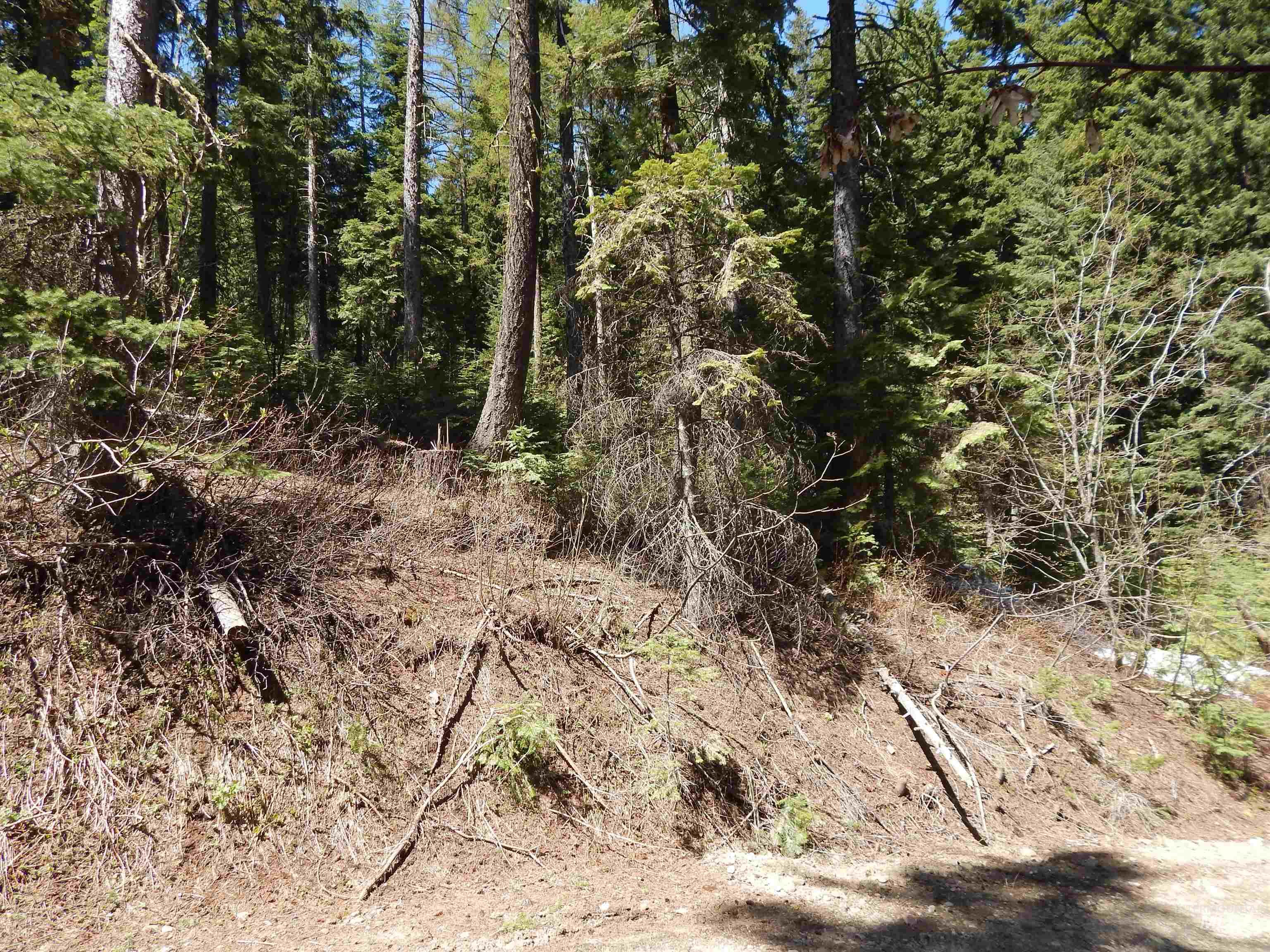 1601 Bear Trail Loop Cascade, ID 83611 - Photo 12 of 26