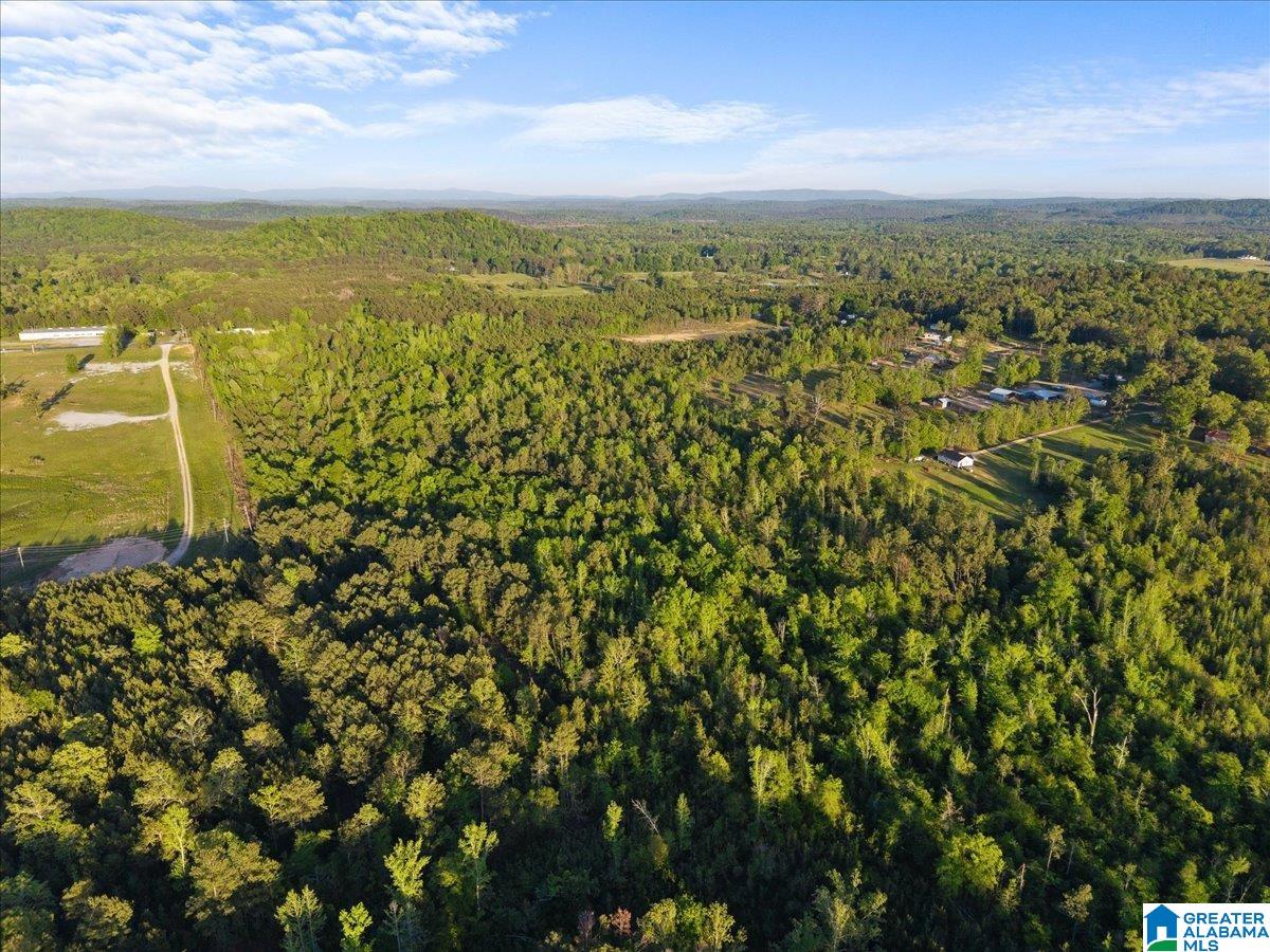 77 Ohatchee Al Ohatchee, AL 36271 - Photo 4 of 8