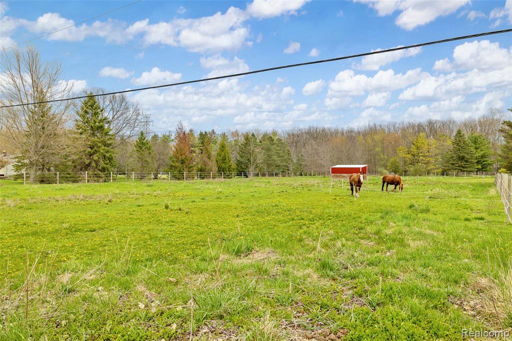 4425 Bethuy Road Casco, MI 48064 - Photo 6 of 77