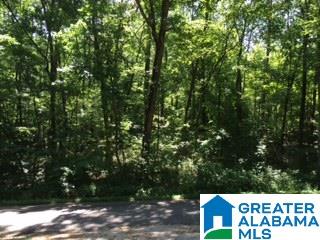 Tract Ii Pine Mountain Road, Unit TRACT II Remlap, AL 35133 - Photo 2 of 3