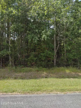 $55,000 | 33 Pine Crest Road, Bath, NC 27808