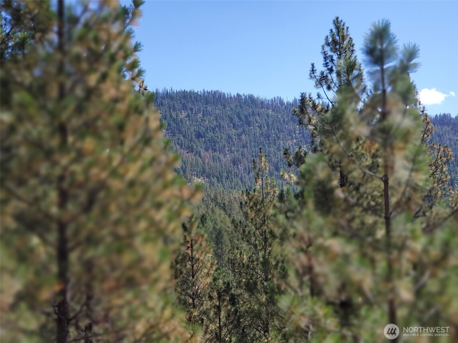 0 Long Horn Trail Riverside, WA 98849 - Photo 1 of 8 Gallery Image 1