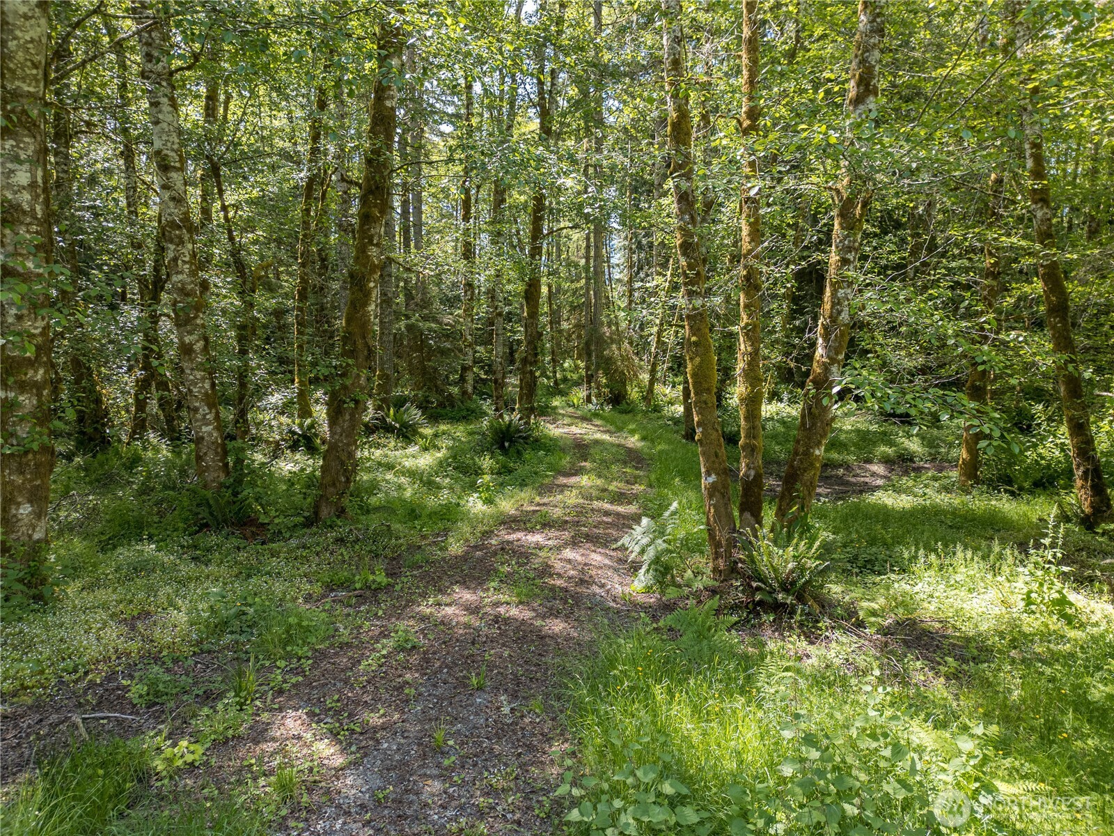 0 Durrwachter Road Port Angeles, WA 98363 - Photo 11 of 33 Gallery Image 11