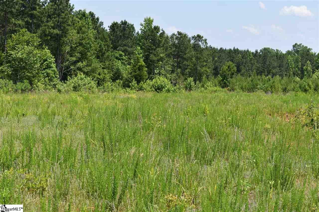 126 Mattie Campbell Road, Unit LOT 9 Honea Path, SC 29654 - Photo 11 of 15