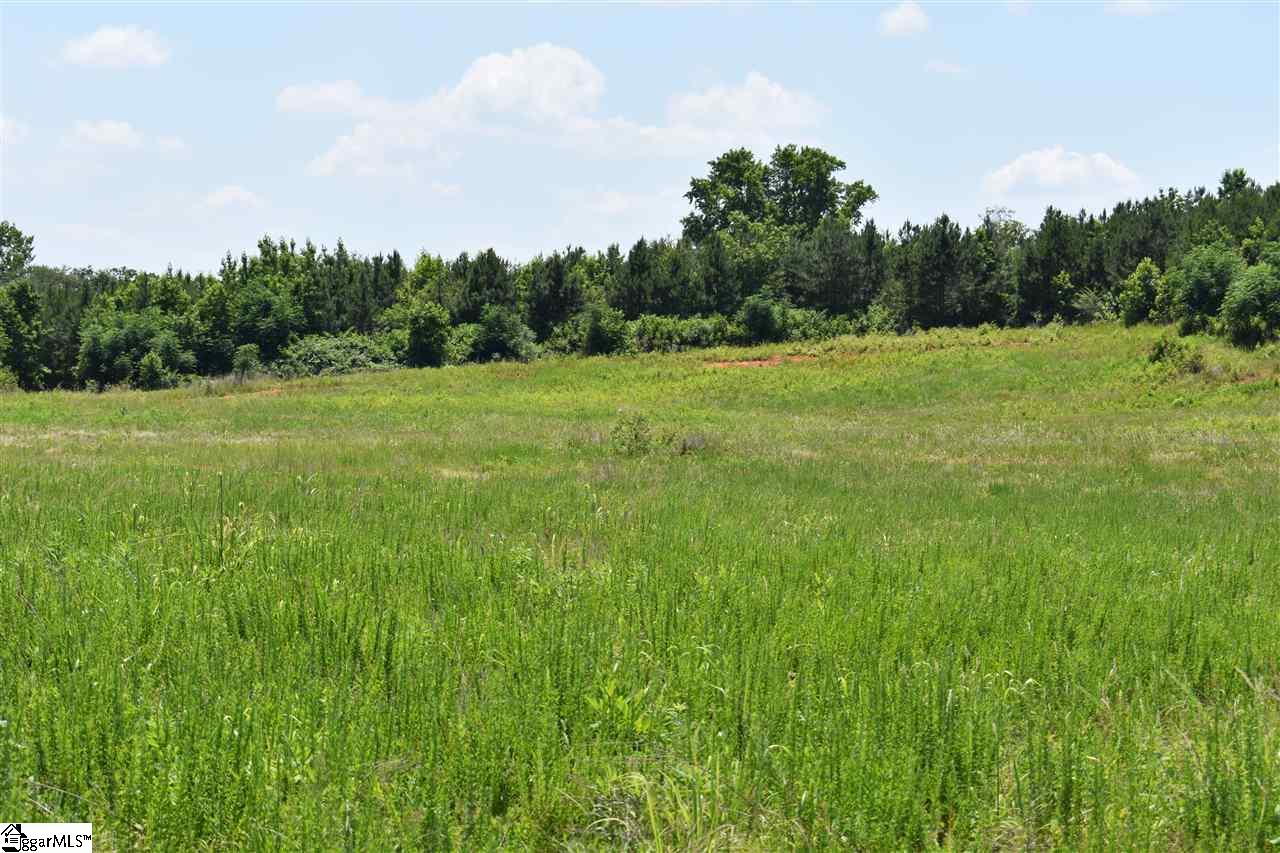 126 Mattie Campbell Road, Unit LOT 9 Honea Path, SC 29654 - Photo 13 of 15