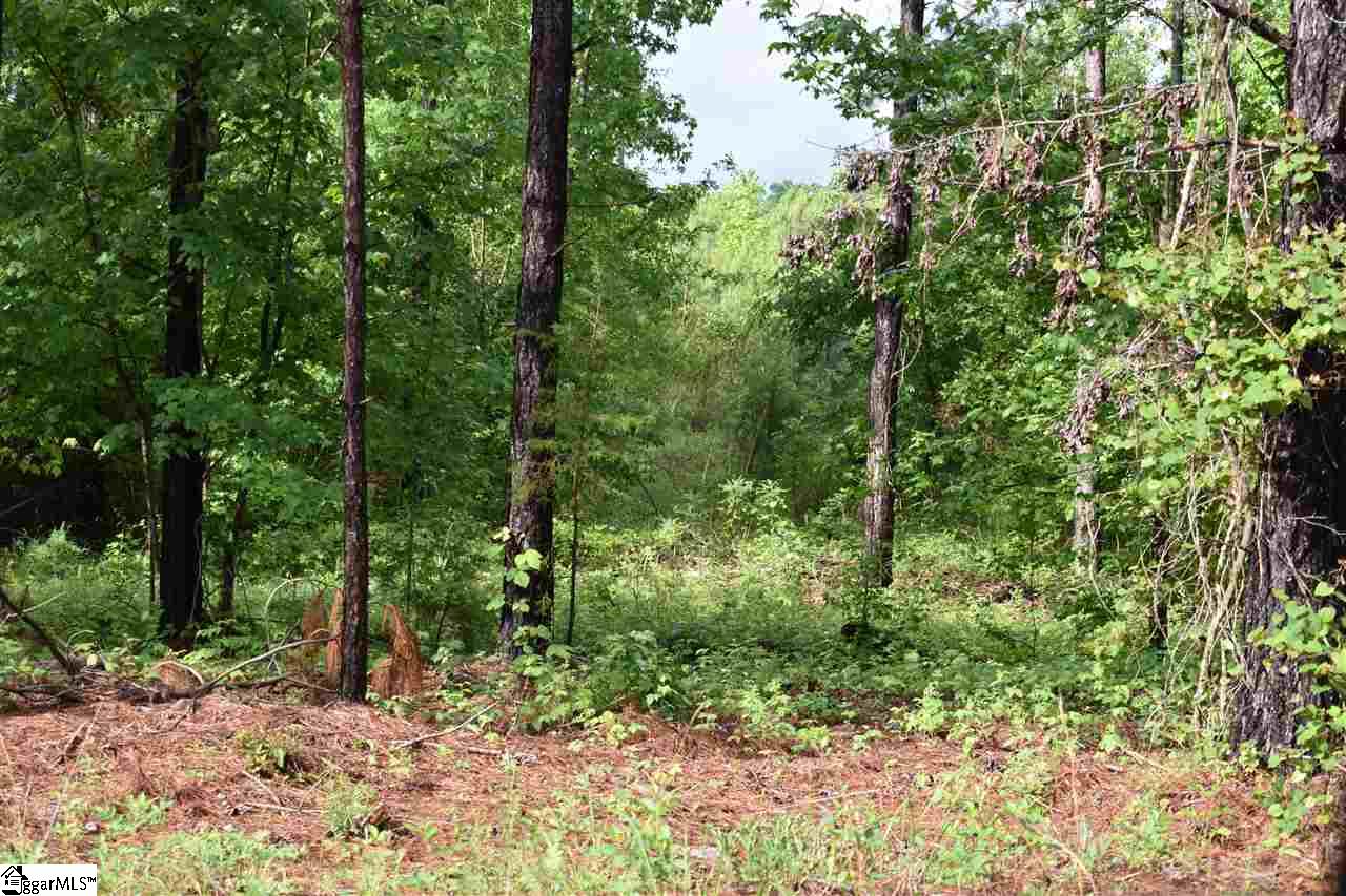 126 Mattie Campbell Road, Unit LOT 9 Honea Path, SC 29654 - Photo 3 of 15