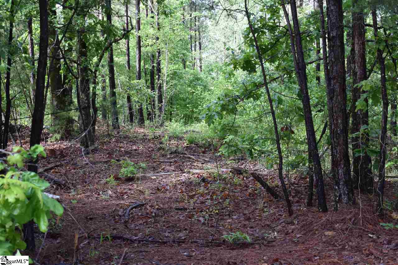 126 Mattie Campbell Road, Unit LOT 9 Honea Path, SC 29654 - Photo 4 of 15