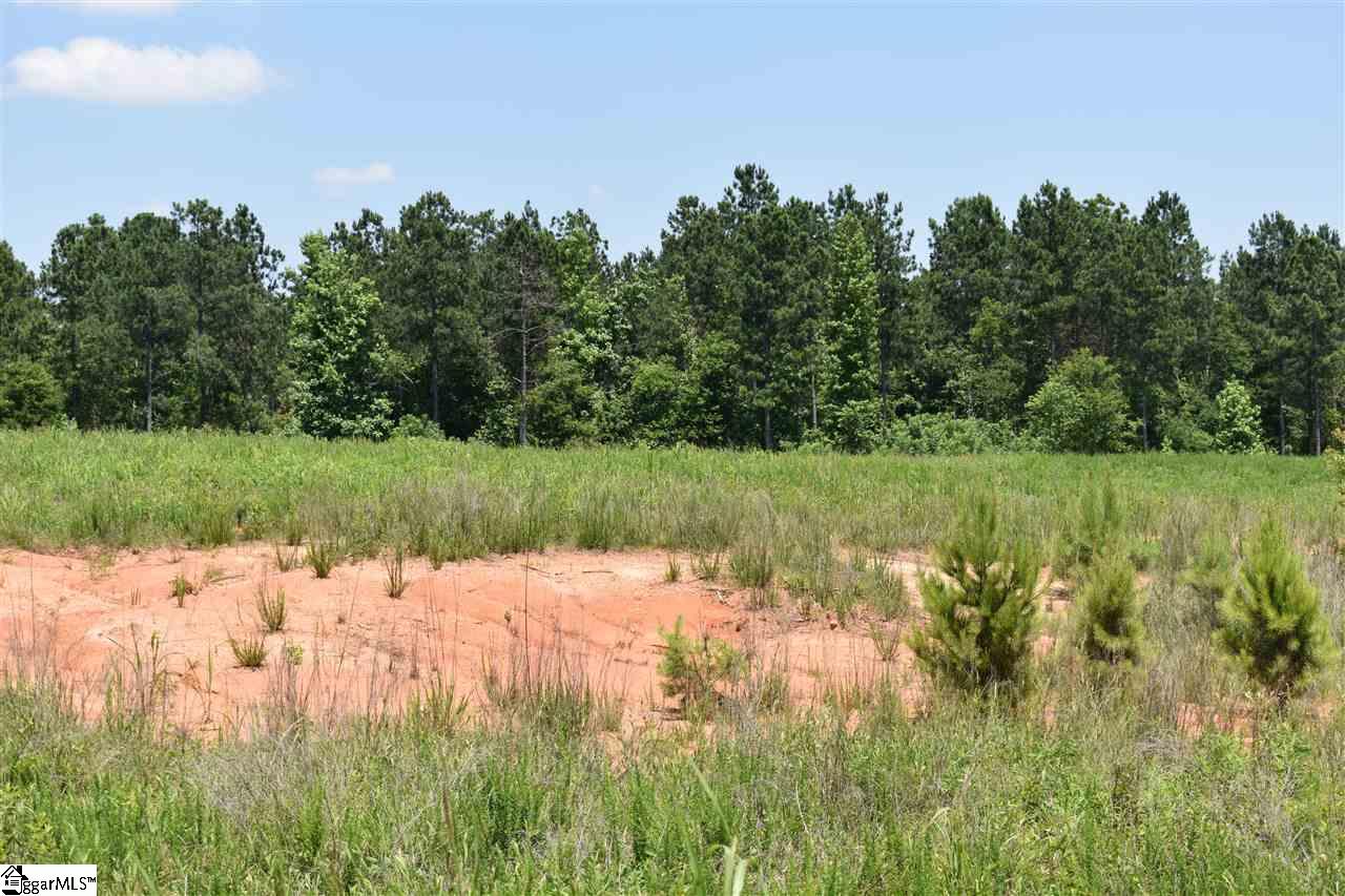 126 Mattie Campbell Road, Unit LOT 9 Honea Path, SC 29654 - Photo 8 of 15