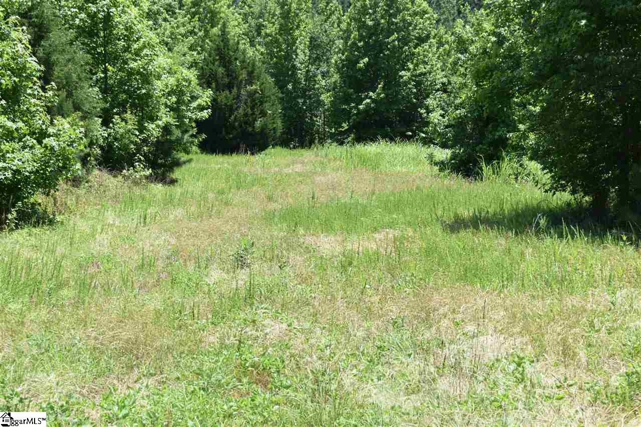 126 Mattie Campbell Road, Unit LOT 9 Honea Path, SC 29654 - Photo 9 of 15
