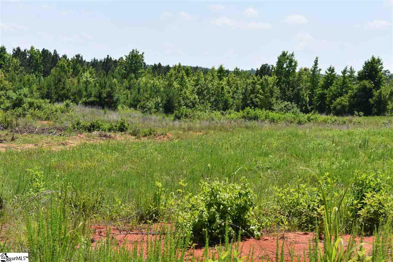 126 Mattie Campbell Road, Unit LOT 9 Honea Path, SC 29654 - Photo 10 of 15