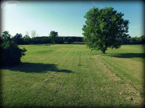 8115 Barden Road Davison, MI 48423 - Photo 16 of 26 20404650-15.JPG