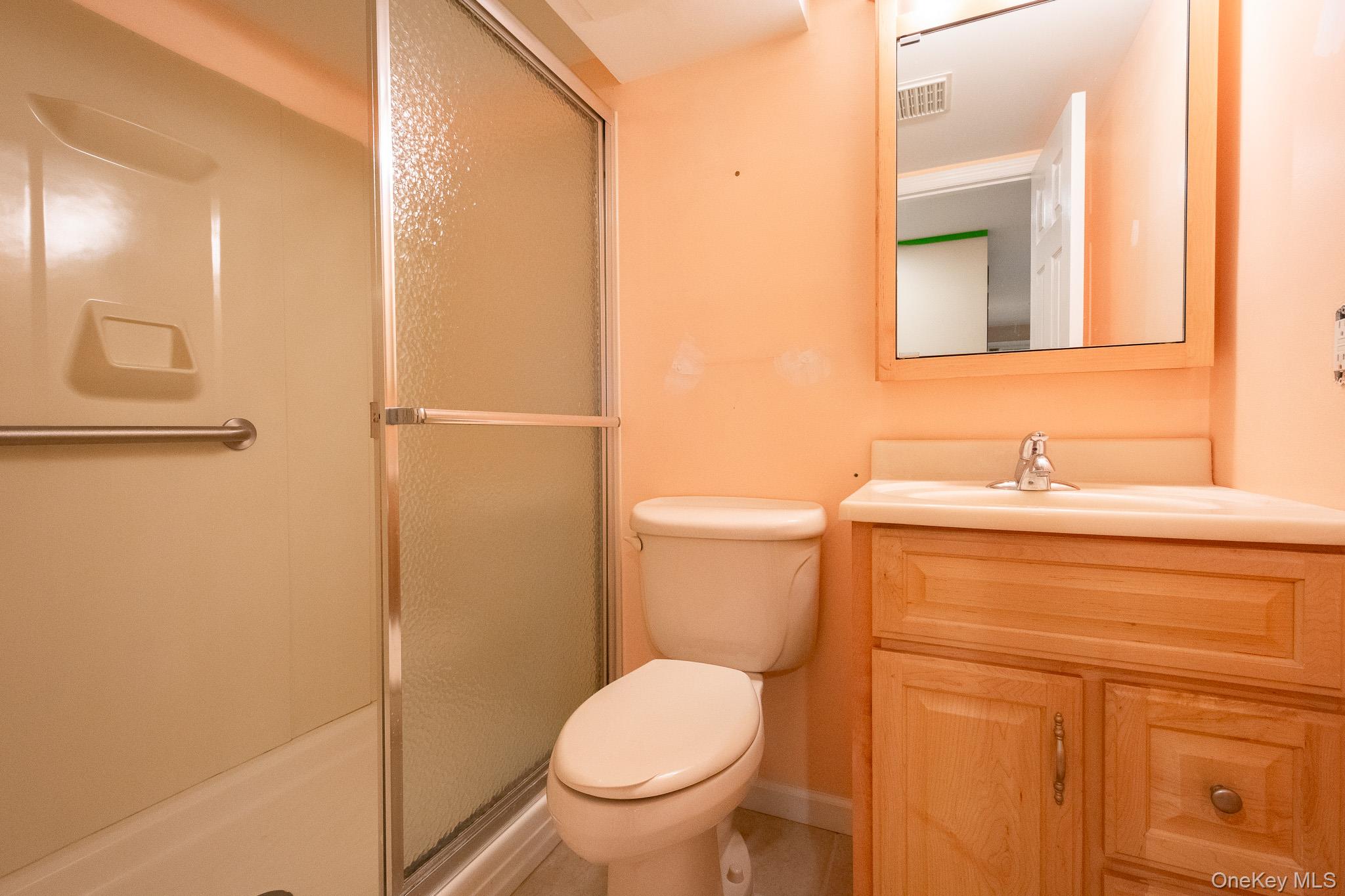 4 Manchester Drive Bethpage, NY 11714 - Photo 19 of 26 a bathroom with a sink a toilet and shower