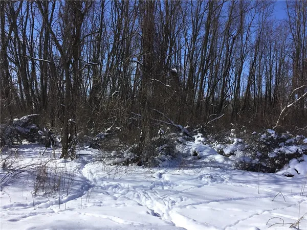 $39,900 | Creek Road, Batavia, NY 14020
