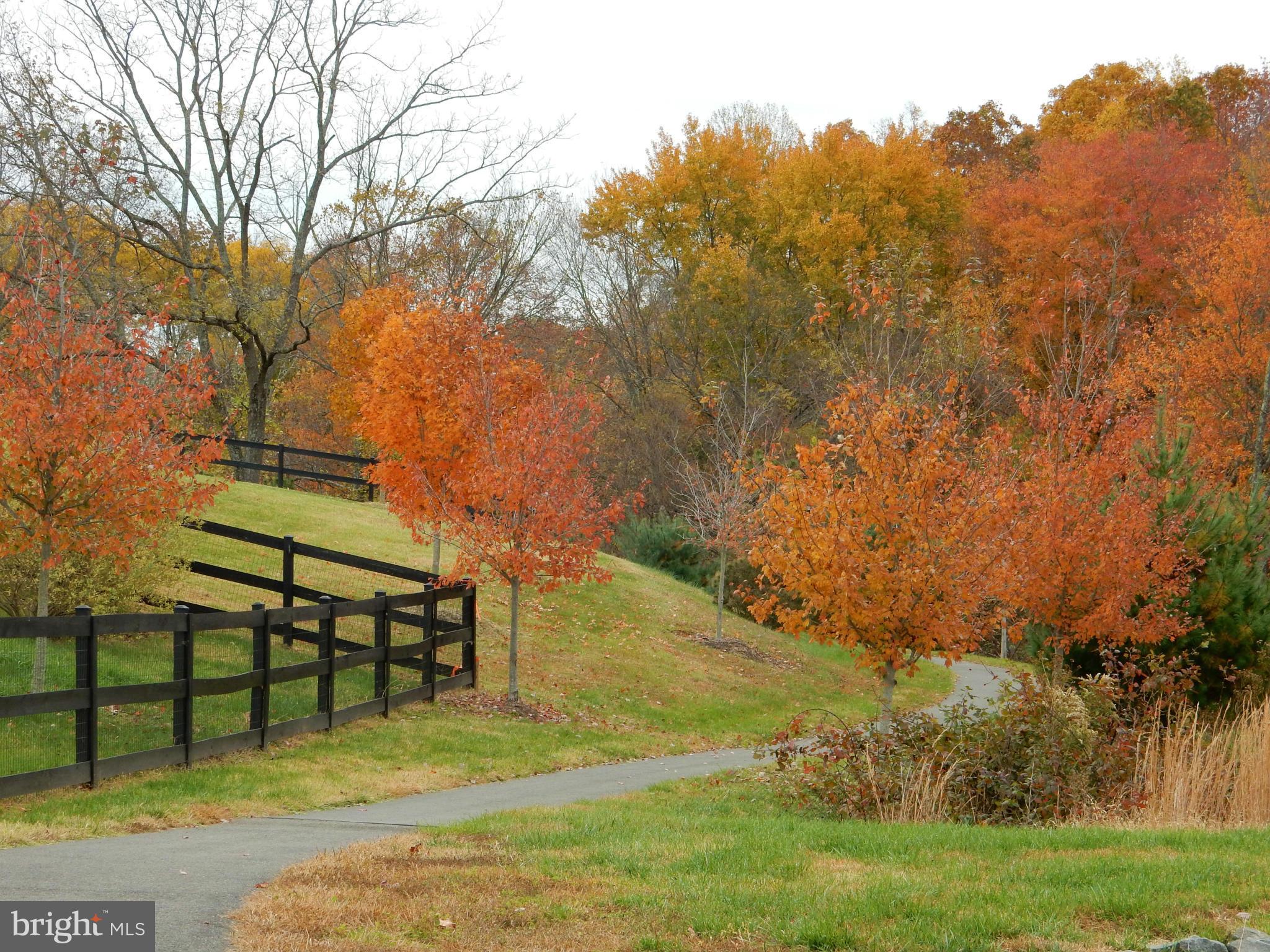 7062 Hi-Rock Ridge Road Warrenton, VA 20187 - Photo 28 of 30 Walking Path