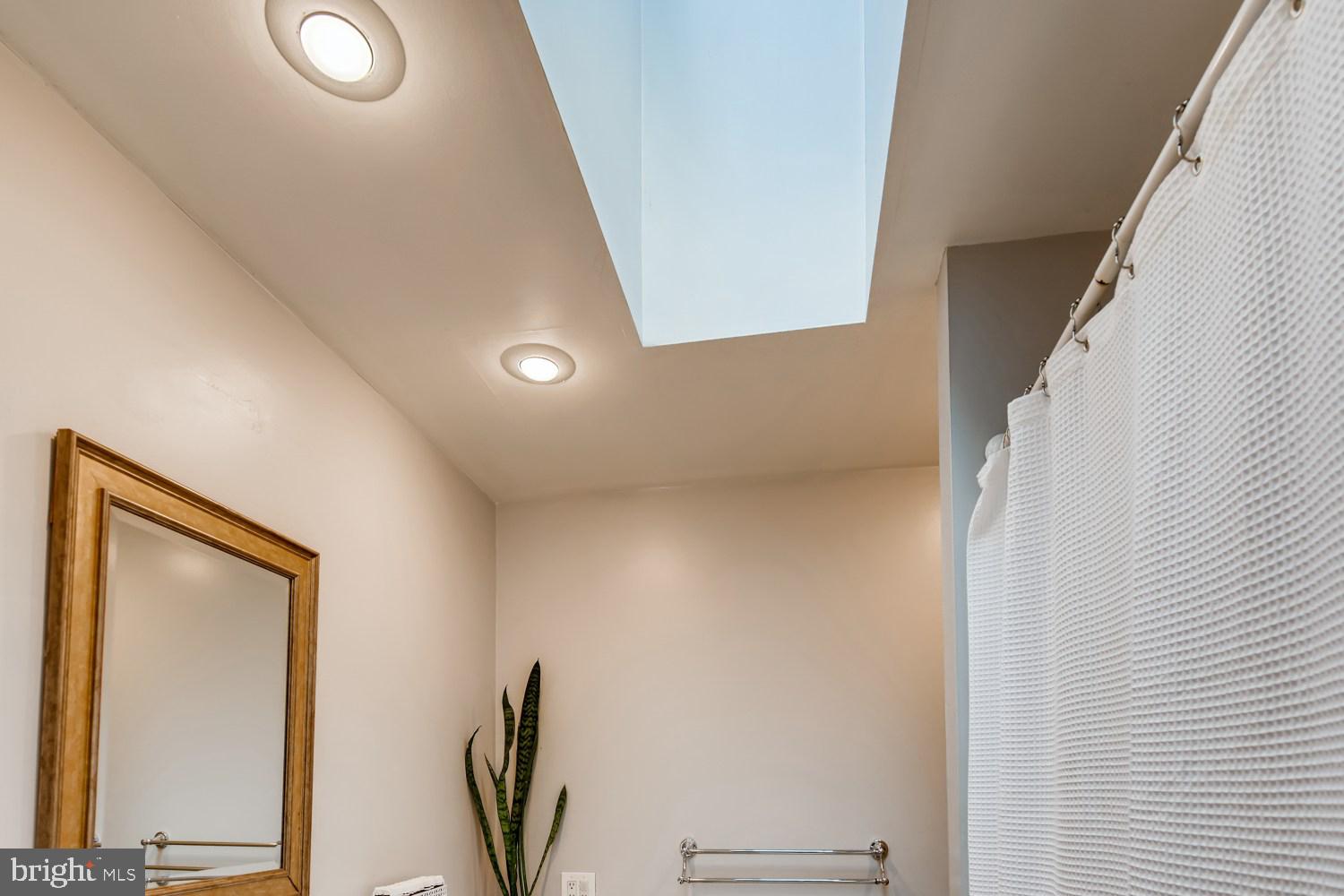 1111 Overbrook Road Baltimore, MD 21239 - Photo 25 of 32 Skylight!