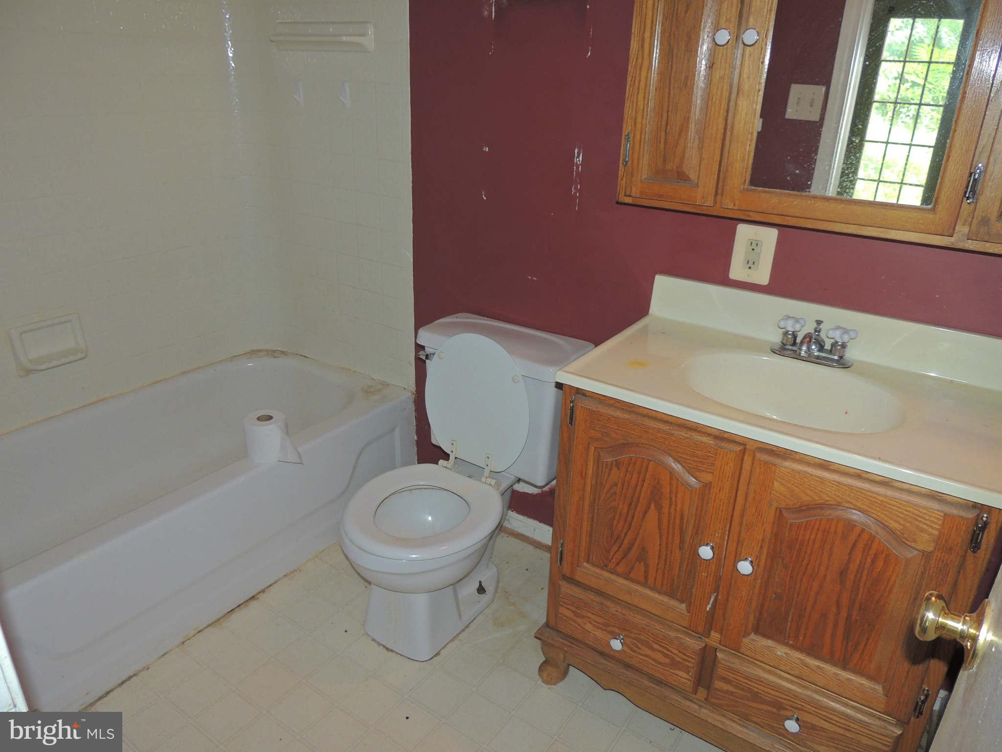 1822 Leeds Manor Road Delaplane, VA 20144 - Photo 13 of 17 Bath (Master)