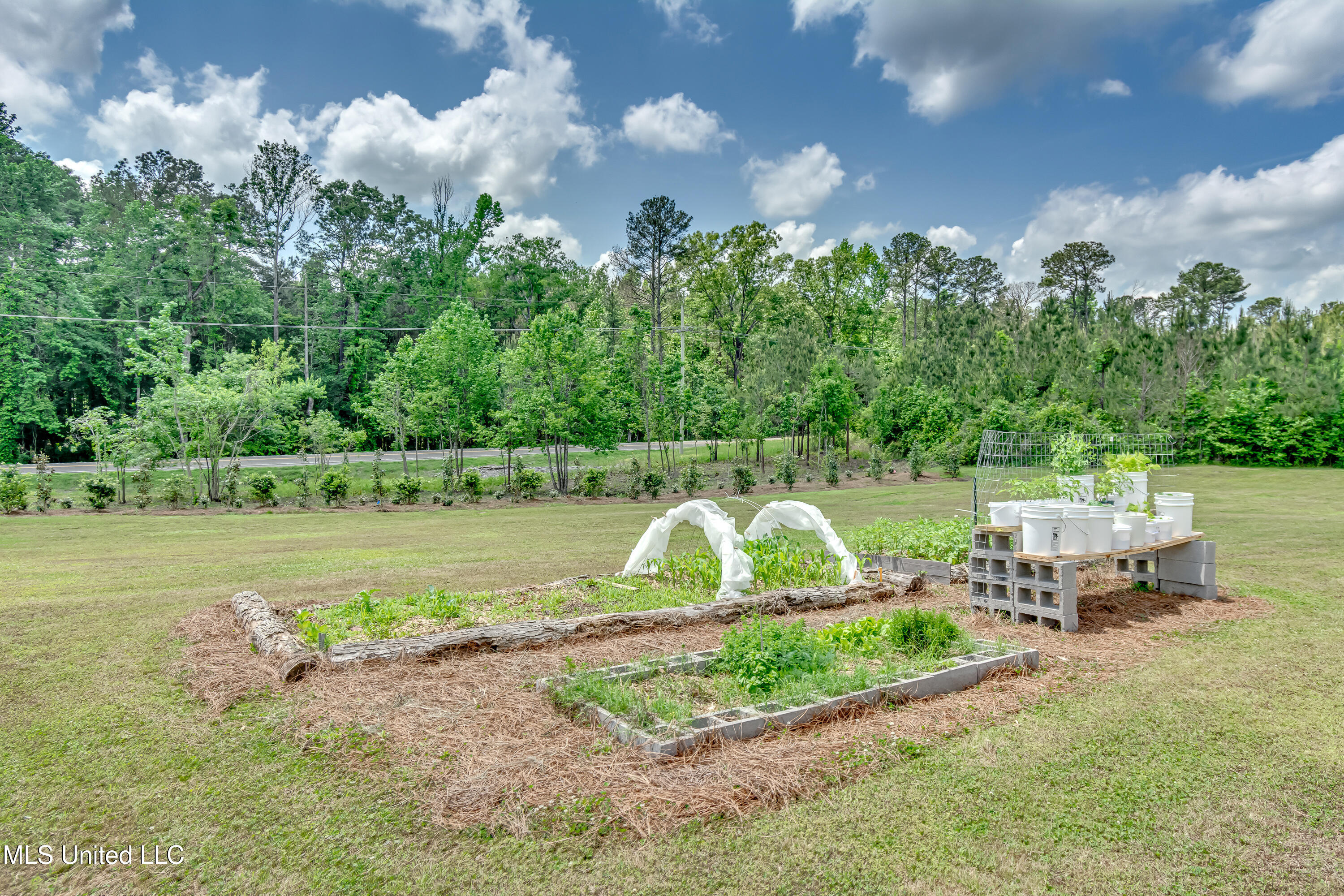 1998 Highway 16 Carthage, MS 39051 - Photo 15 of 40 1998 Ms Hy 16 W-59