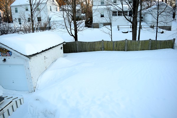 19 Courtney Road Boston, MA 02132 - Photo 15 of 15 Gallery Image 15