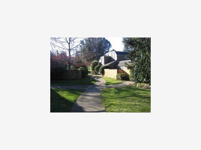 30 Farm Road Los Altos, CA 94024 - Photo 2 of 8 Gallery Image 2