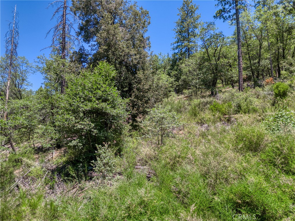 12548 Observation Road Middletown, CA 95461 - Photo 10 of 19