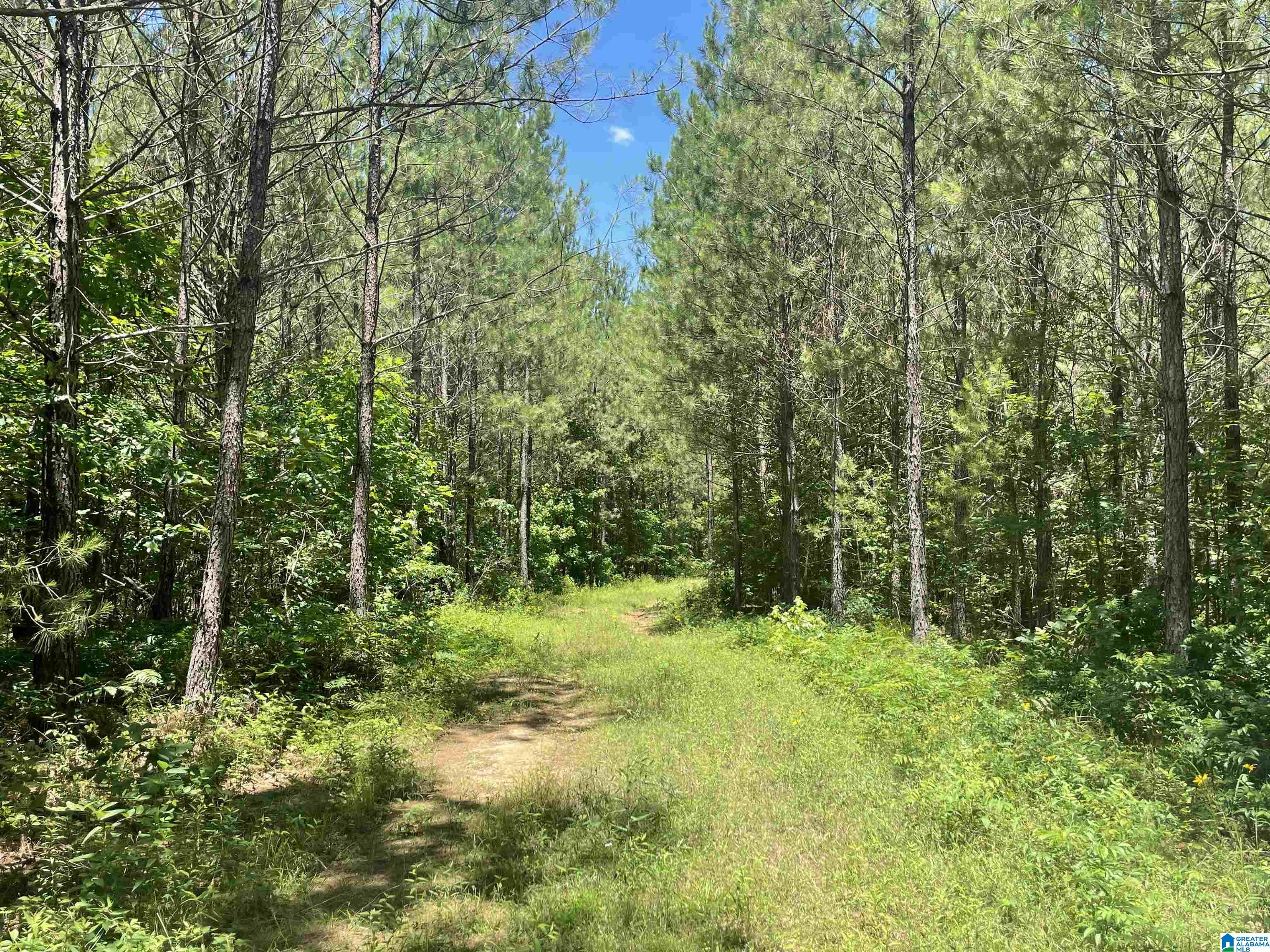 0 Chelsea Farms Road, Unit 24 Chelsea, AL 35043 - Photo 11 of 37