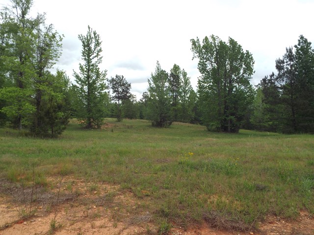 2 Mckee Road Upatoi, GA 31829 - Photo 2 of 2 Gallery Image 2