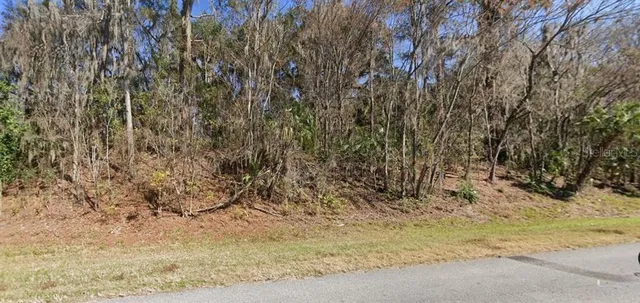 $300,000 | Southeast Wacahoota Road, Micanopy, FL 32667